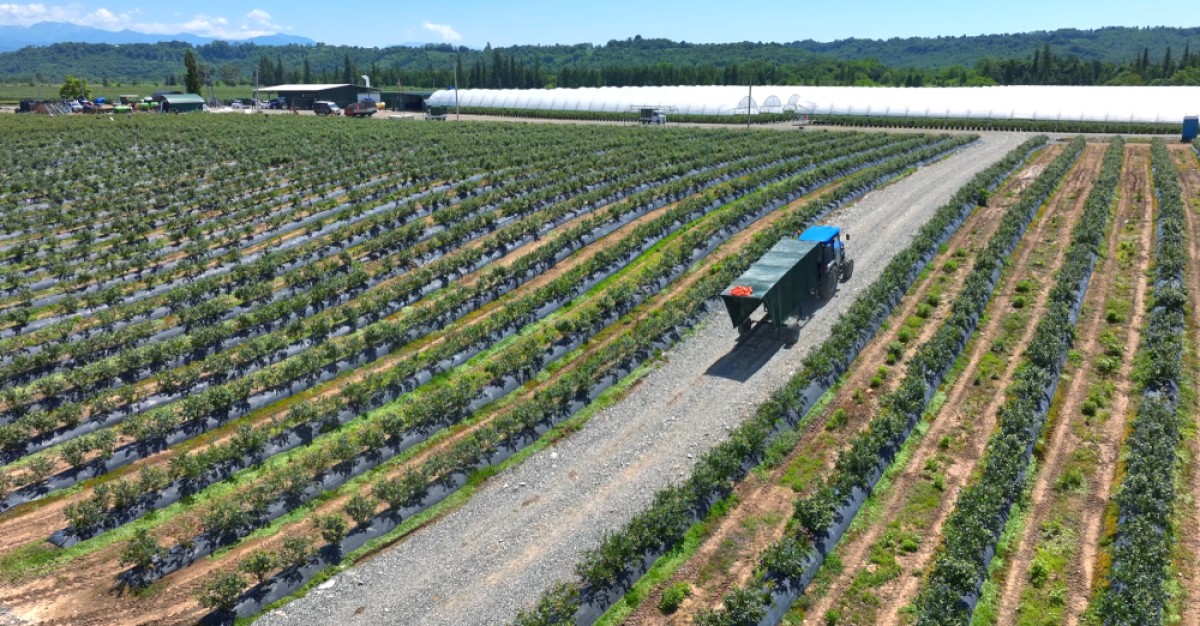 Keystone Agro Completes Its 2026 Harvest Season